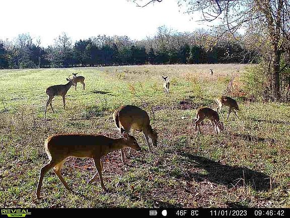 3rd image of 27 Norwood Trail