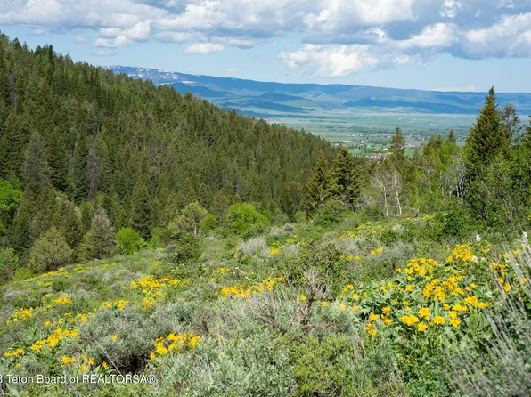 2071 Creekside Ln, Victor, ID 83455