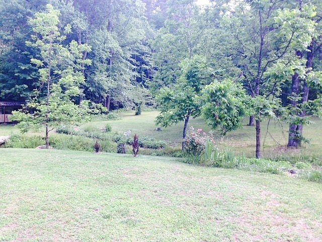2nd image of 1551 Rocky Top Rd