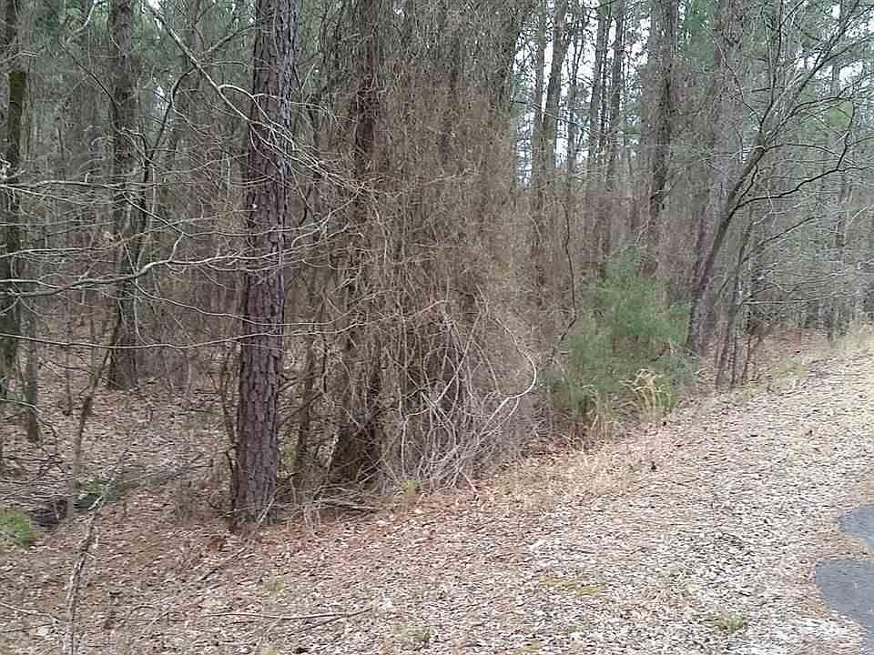 1st image of 5 Valerosa Ln
