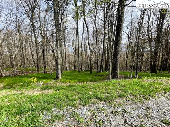 203 Sawmill Branch Road, Beech Mountain, NC 28604