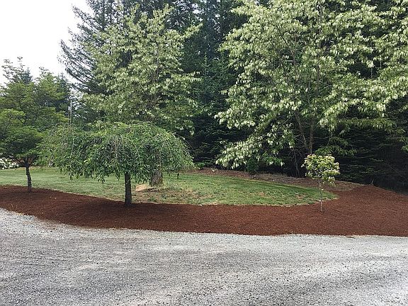 Front yard 