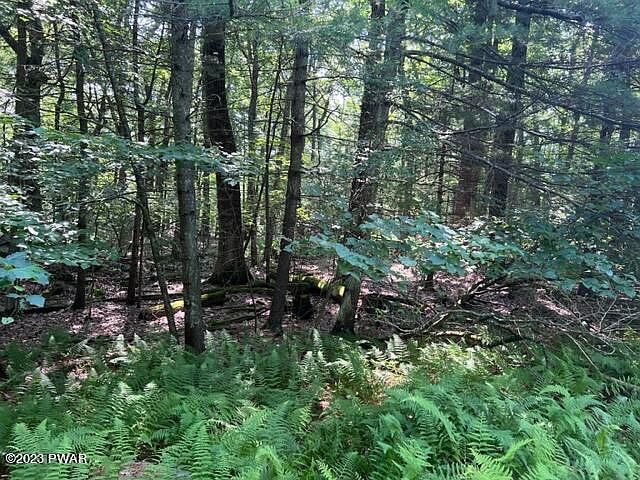 1st image of LOT 1496 Kunigunde Dr