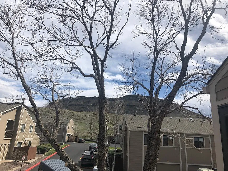 Views of North Table from your private southeast facing deck. Ash tree provides shade in summer months.