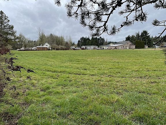Northeast corner of property