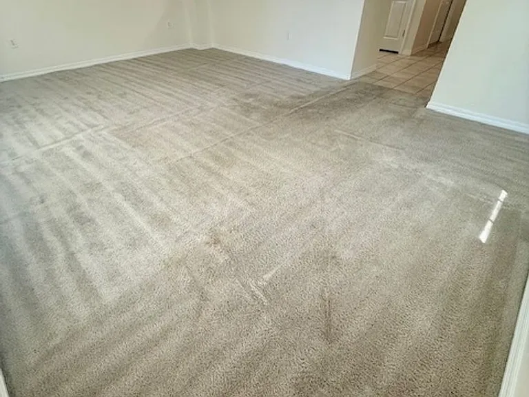 223 Johnson Ct — Photo 15