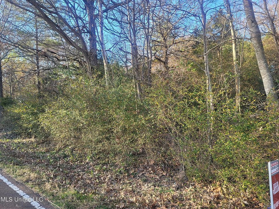2nd image of County Line Rd Lot 1