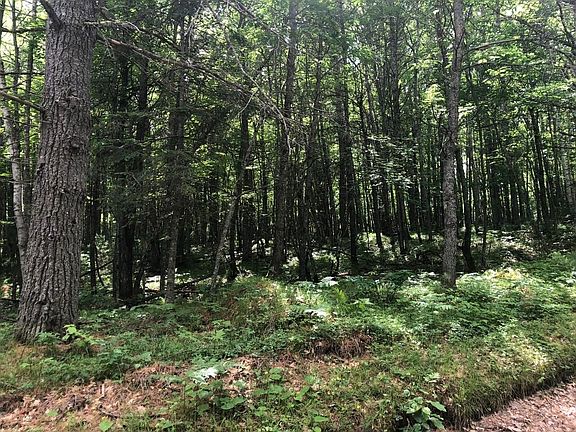 2nd image of LOT Star Lake Rd