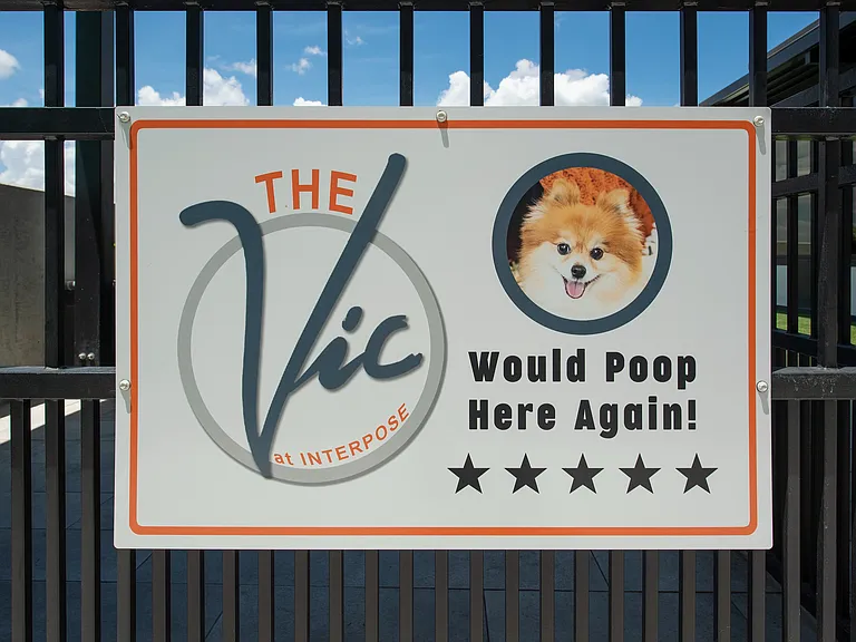 Dog Park 1