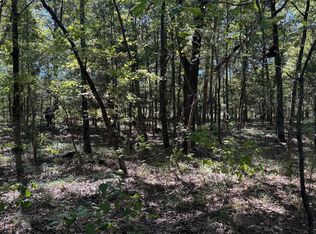 75 County Road 2115, Bagwell, TX 75412