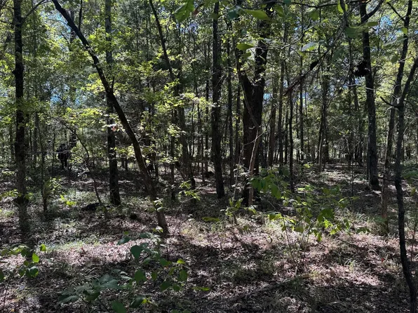 75 County Road 2115, Bagwell, TX 75412
