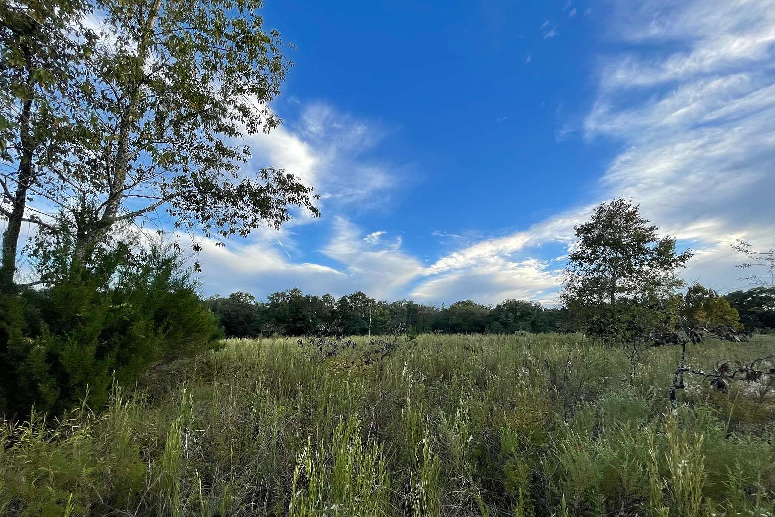 0 SW Shiloh St, Fort White, FL 32038 Zillow