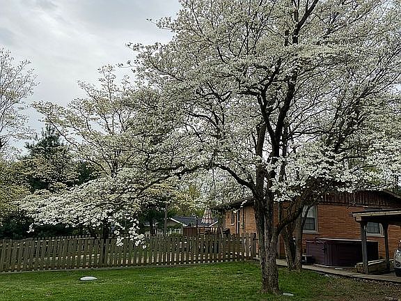 3rd image of 6766 W Outer Lincoln Ave