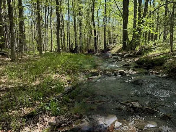 Cr 92, Roscoe, NY 12736