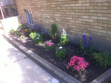Professionally Landscaped!