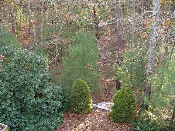 Beautiful 1/2 acre of natural landscape with flowering shrubs and 3 balconies!