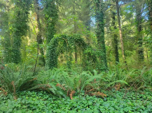 230 Mud Hen Village Rd, Crescent City, CA 95531