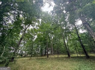1 Bethesda Church Rd, Lexington, GA 30648