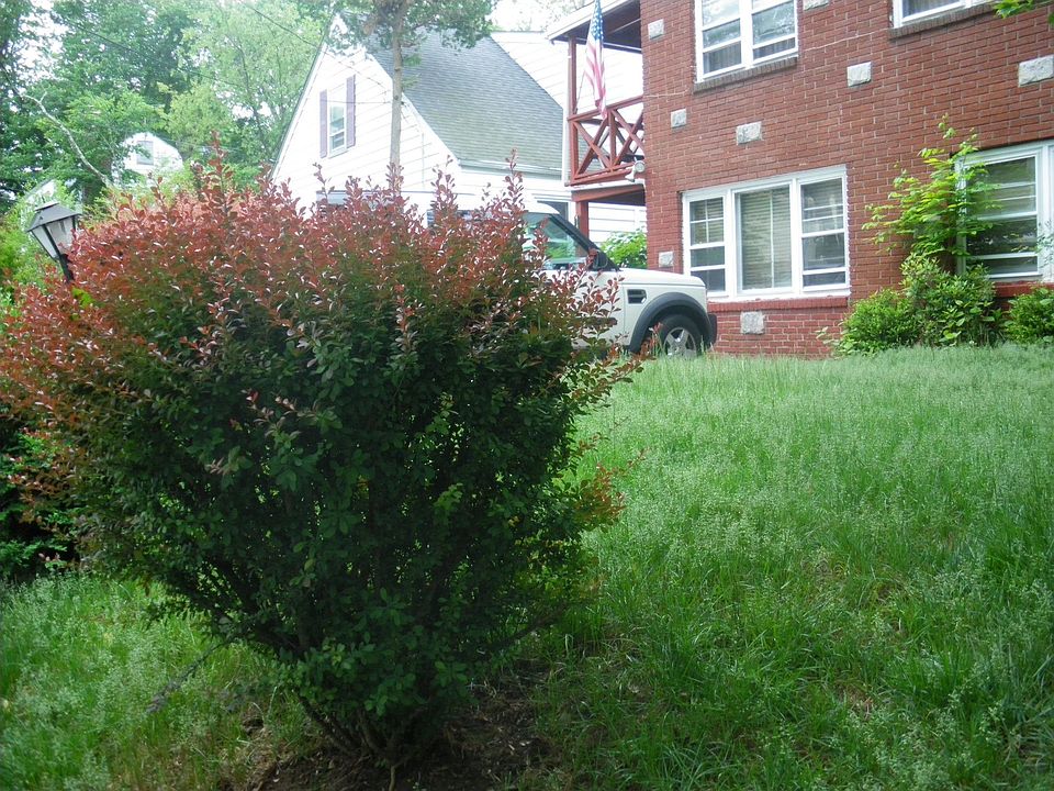 2nd image of 145 Helena Ave