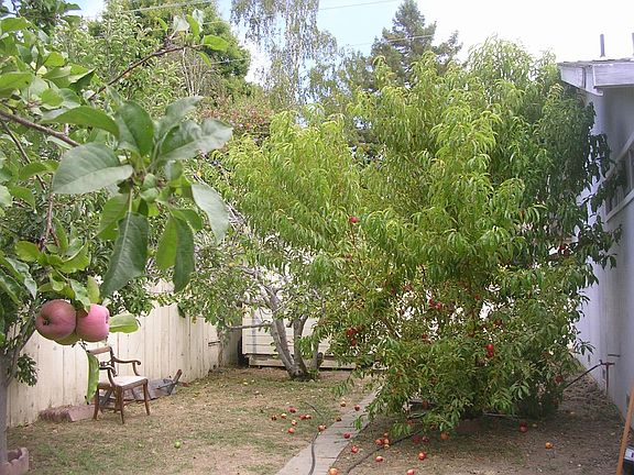 3rd image of 3233 Thurber Ln