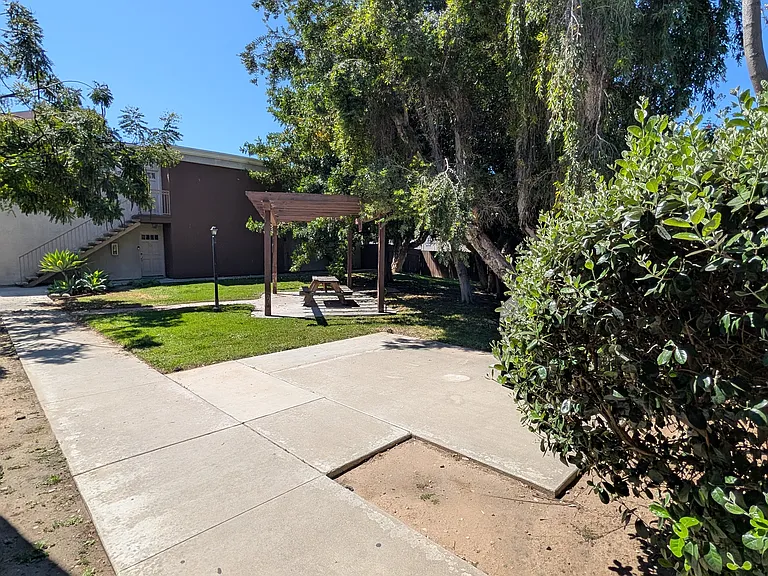 Outdoor Grass and Seating Area