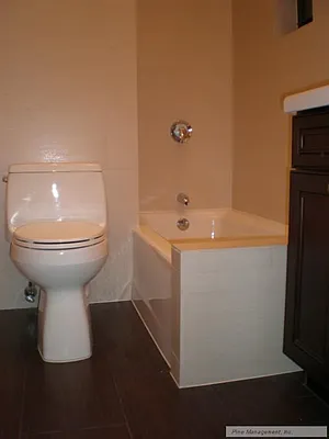 Rented by Pine Management, Inc. | media 11