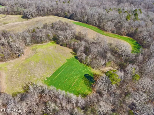 Newport Rd, Lexington, MS 39095