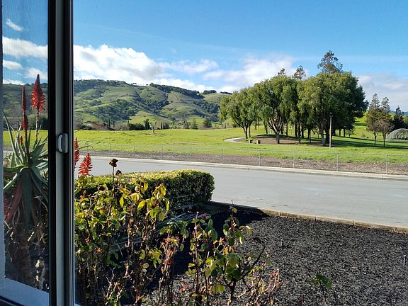View from Living Room