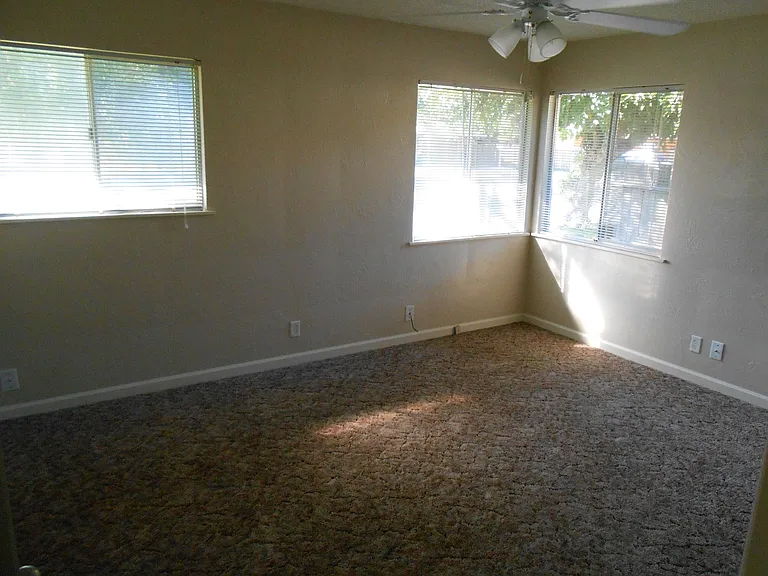 Phoenix Apartments — Photo 6