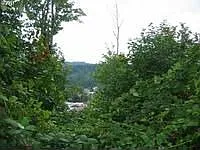 763 SE Forest Glen Rd photo 1