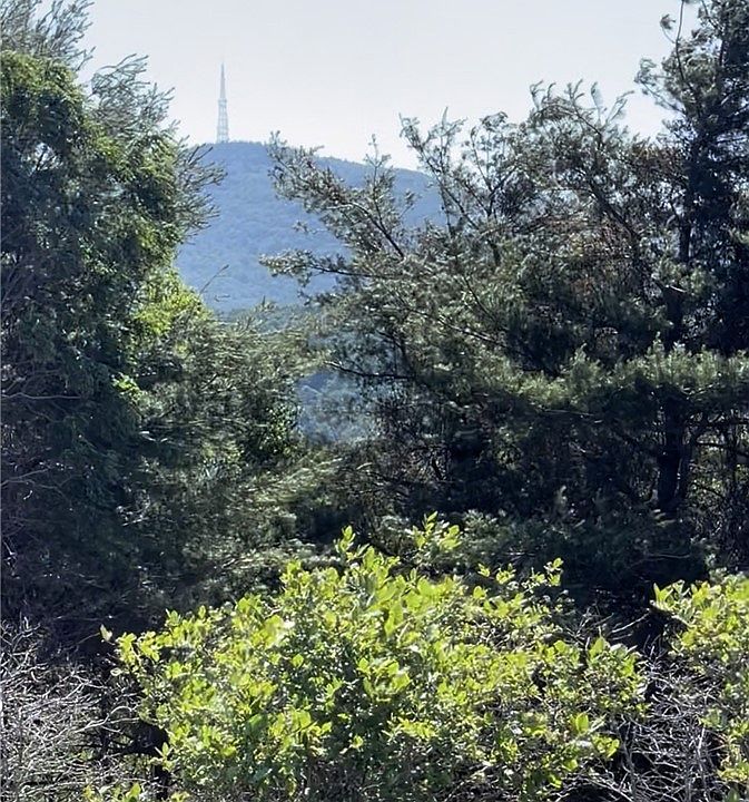 2nd image of TBD Lot 39 Crestwood Circle