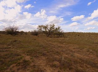 XX Eureka Trl, Silver City, NM 88061