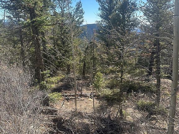 4th image of Lot 6742 Starkweather Road