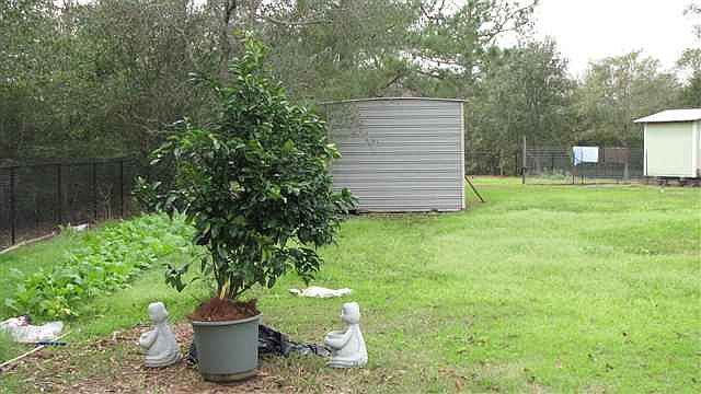 2nd image of 3651 Fish Hook Ln