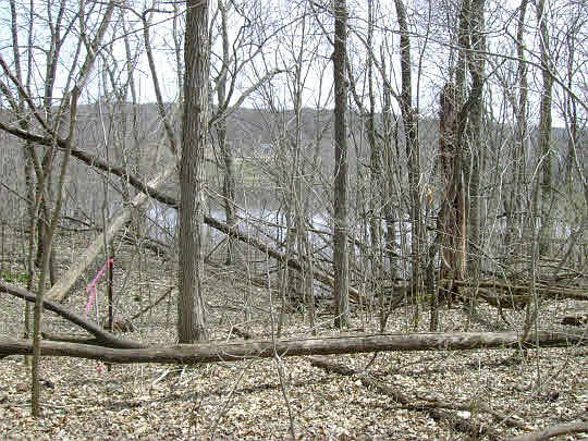 1st image of 0 W Chinquapin Dr