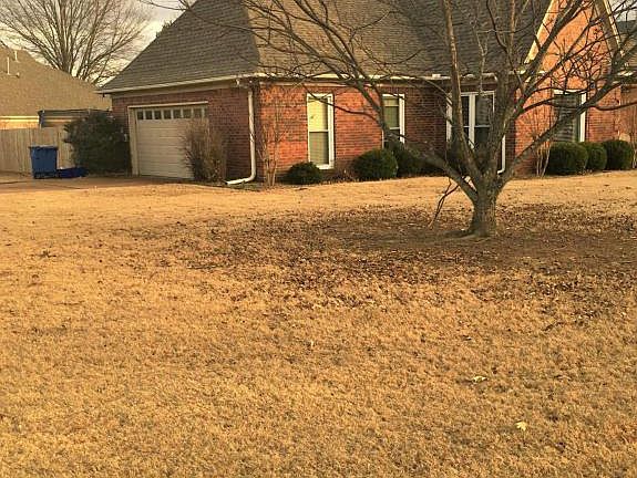 4th image of 6864 Oak Forest Dr