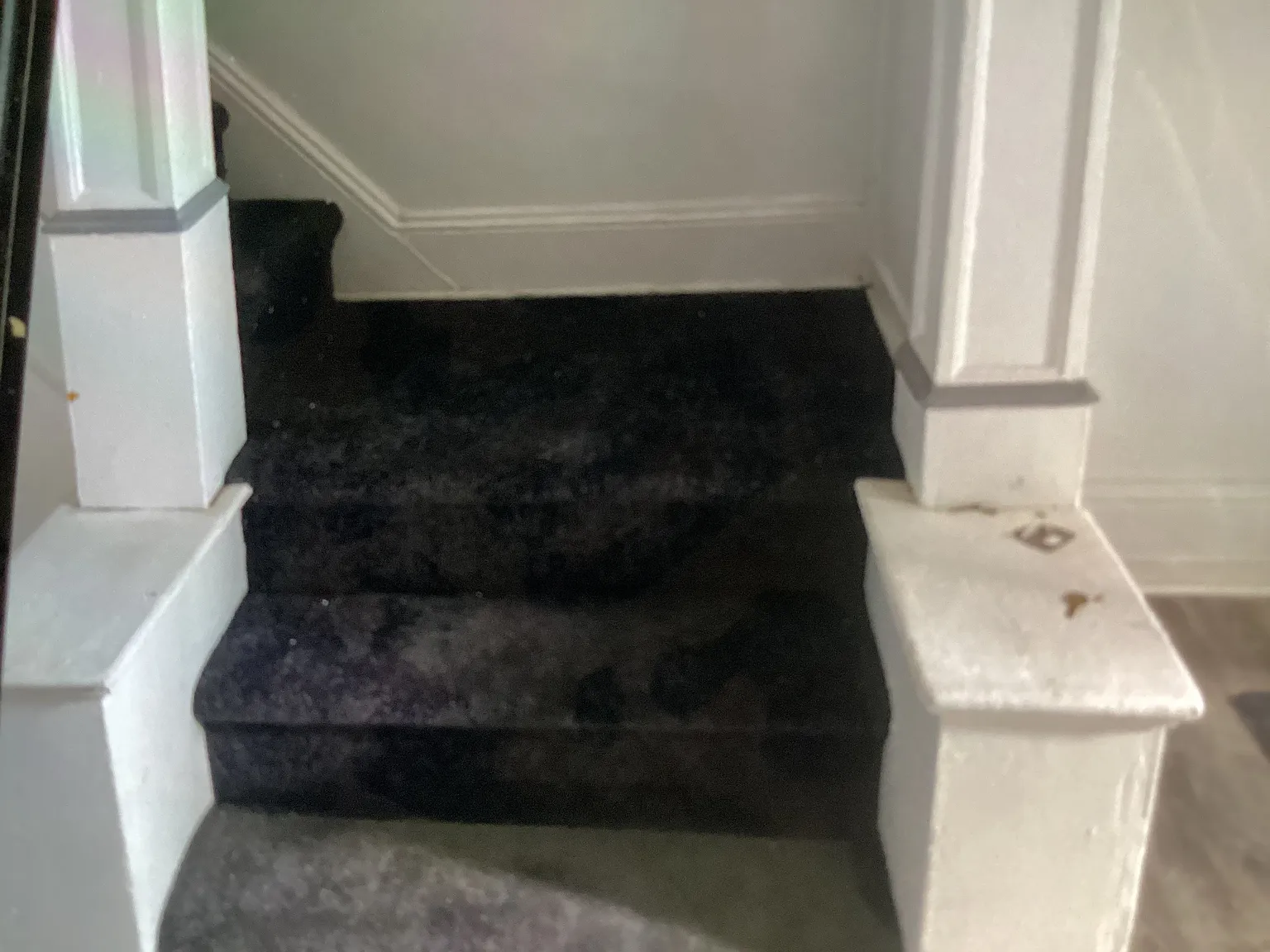 3 bed, 1200 sqft, $1,850 — Photo 4