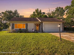 10048 Amidon St, Spring Hill, FL 34608