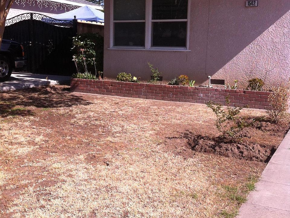 Front yard 