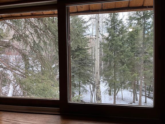 Kitchen window looking into the woods