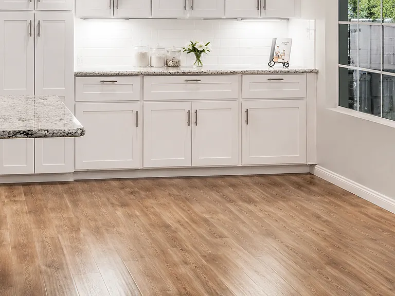 4817 Bella Pacific Row — Photo 3