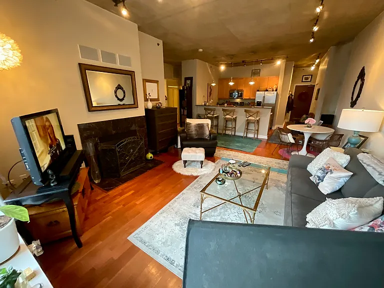 1305 S Michigan Ave #1011 — Photo 2
