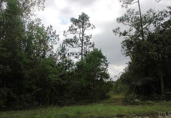 4th image of 1038 Fleming Dr