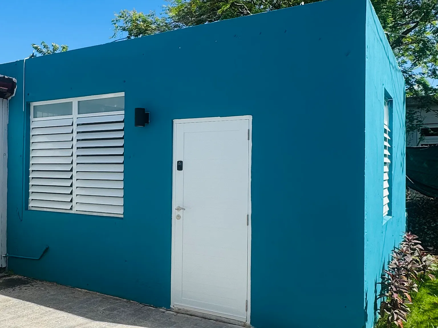 1 bed, 300 sqft, $900 — Photo 2