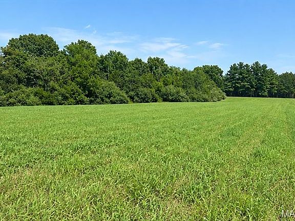 3rd image of 79 Penrod Rd