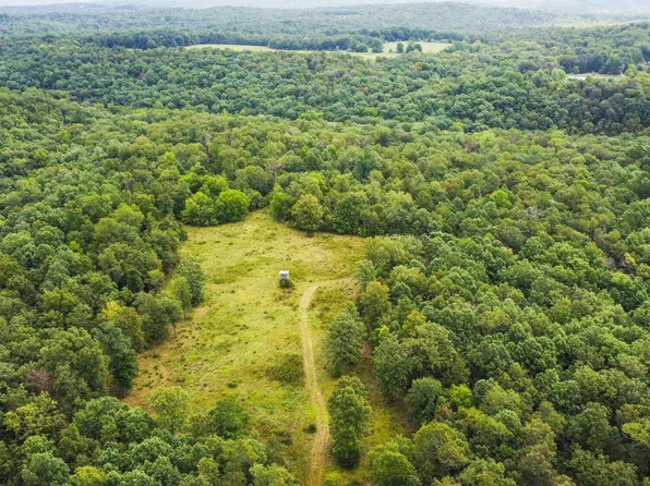 000 County Road 1990, Willow Springs, MO 65793