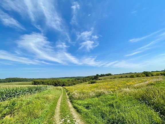 3rd image of C County 8 Spring Grv