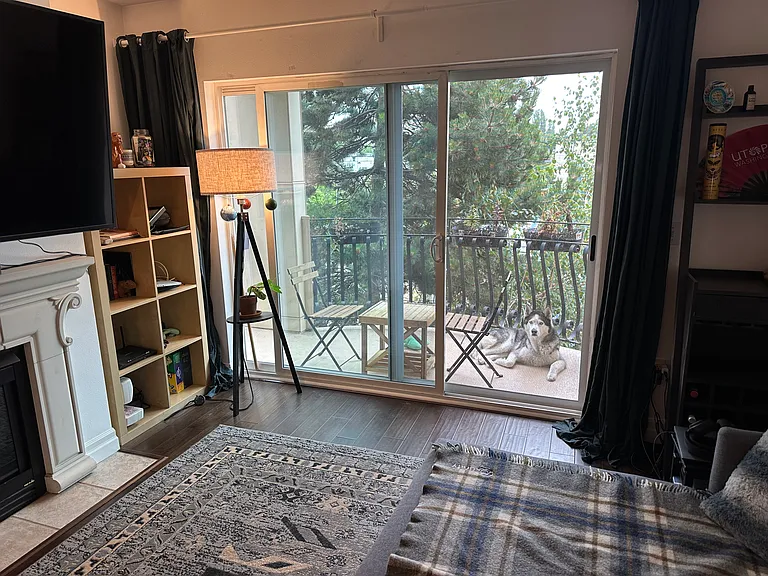 1101 E Terrace St #204 — Photo 14