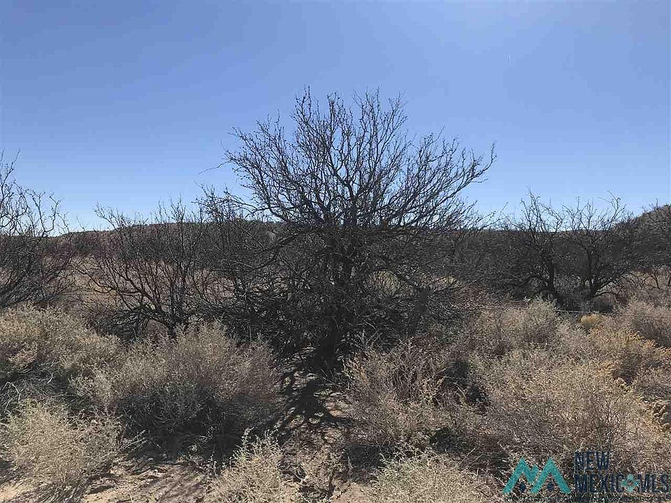 2nd image of Alamosa Valley Rd