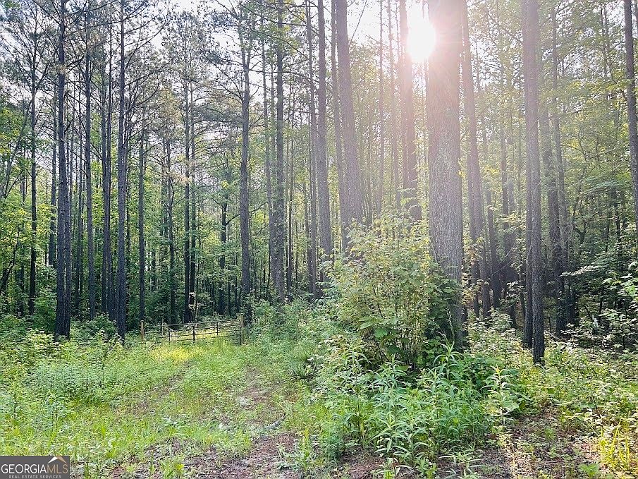 0 Springer Rd TRACT 3, Whitesburg, GA 30185 MLS 10293668 Zillow